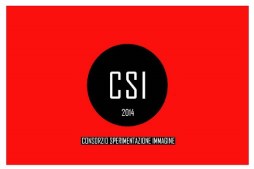 tessera2014fronte-una